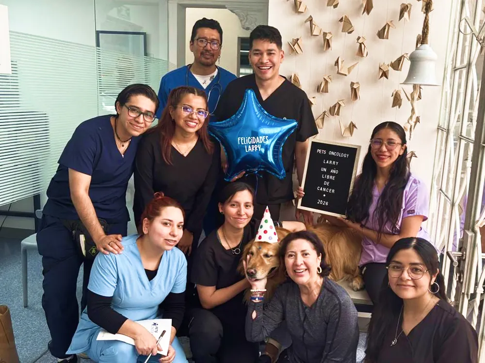 Atención veterinaria especializada en Pets Oncology