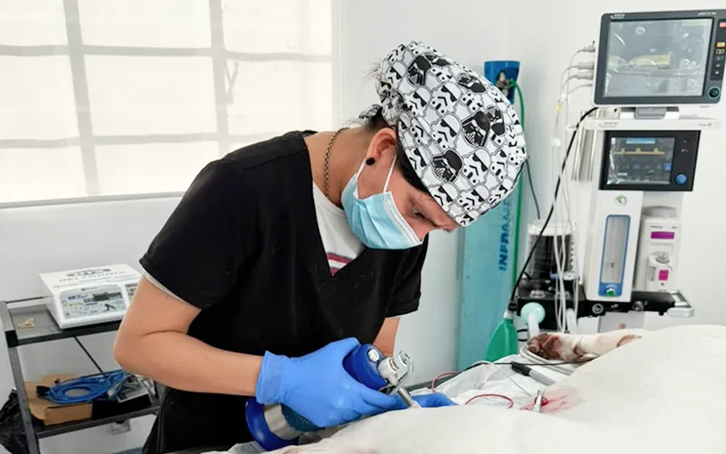 Crioterapia veterinaria en Pets Oncology CDMX